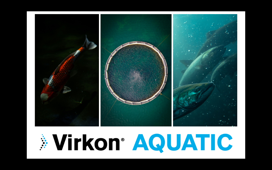 Hygiene and Disease in UK Aquaculture: Challenges and Controls
